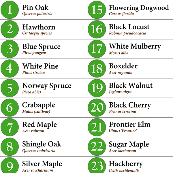 Detailed view of the Anderson Township Heritage Center Arboretum sign showing the tree numbers and specimens